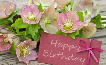 Birthday Greeting Cards Images for Friends
